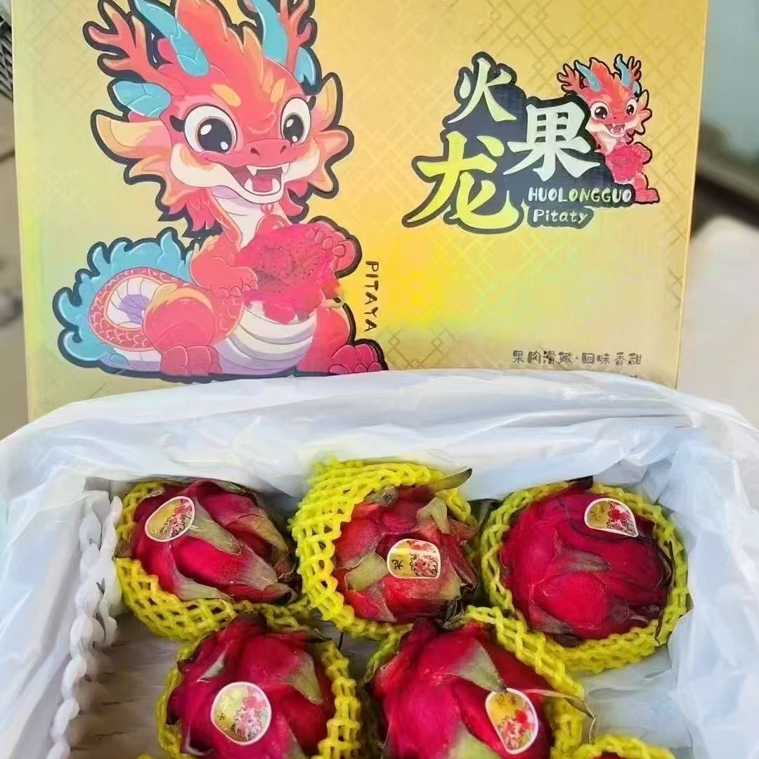 （果甄鲜）火龙果礼盒一箱8个