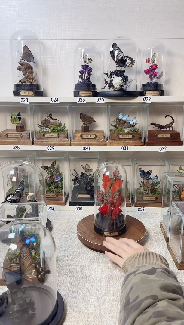 玻璃真实自然标本血漪款