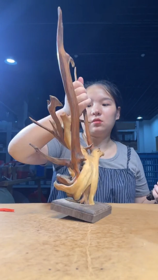 柏木（崖柏）其他（ 直播推荐 ）
