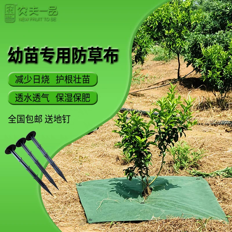 果园单张切片透气渗水防草布除草布抗老化防晒保湿