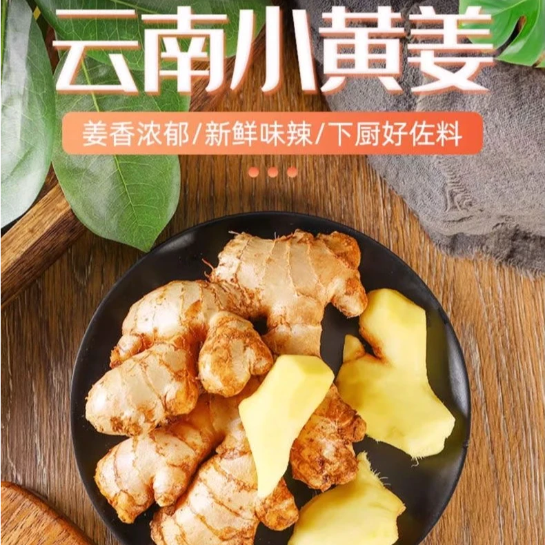 正宗云南小黄姜当季现挖鲜姜母农家自种带泥小黄姜净重4.8斤