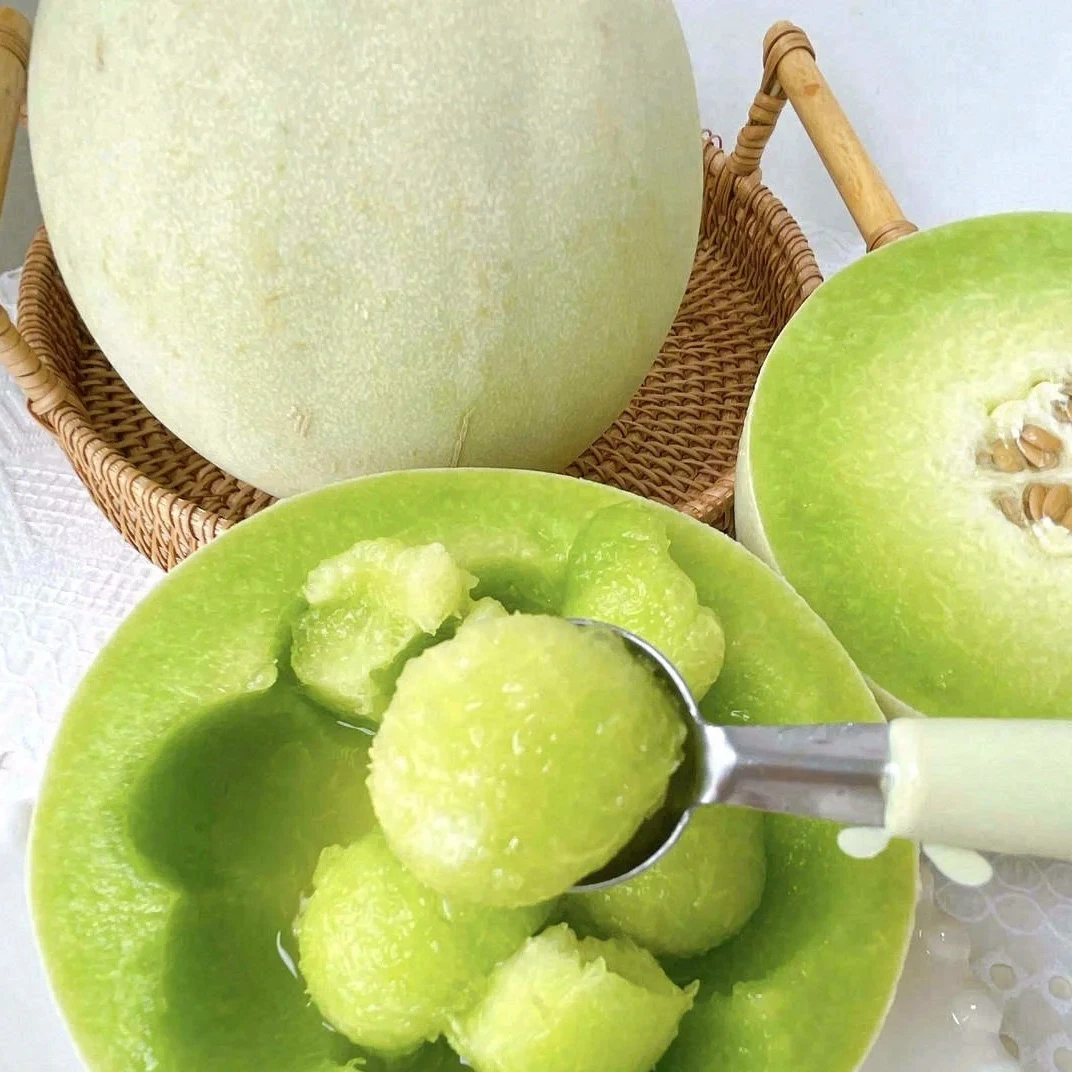 【周谷堆水果】玉菇冰淇淋甜瓜净重4.5斤软糯香甜多汁当季现摘（13）