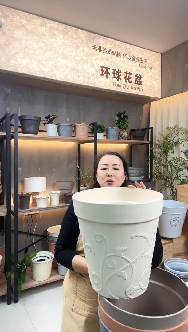 14寸紫苏圆盆4色混色10只