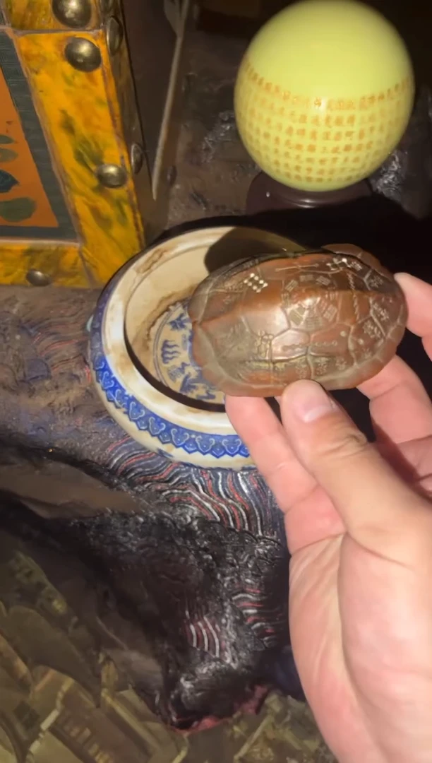 香榧木一一一优选一一一