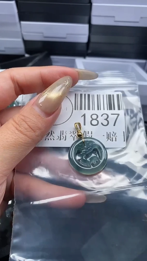 颈饰未镶嵌翡翠1837