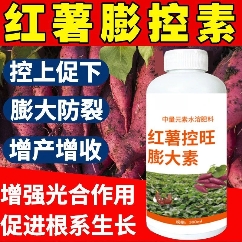 红薯控旺膨大素增产控上促下预防畸形防裂果高产红薯专用肥营养液