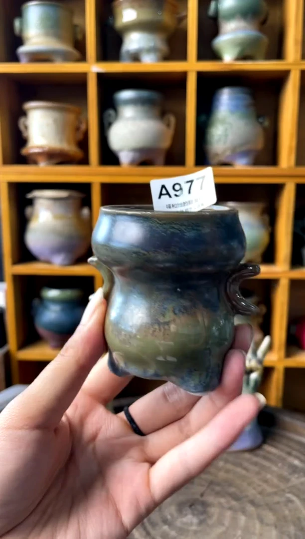 977【多肉花盆多肉盆】