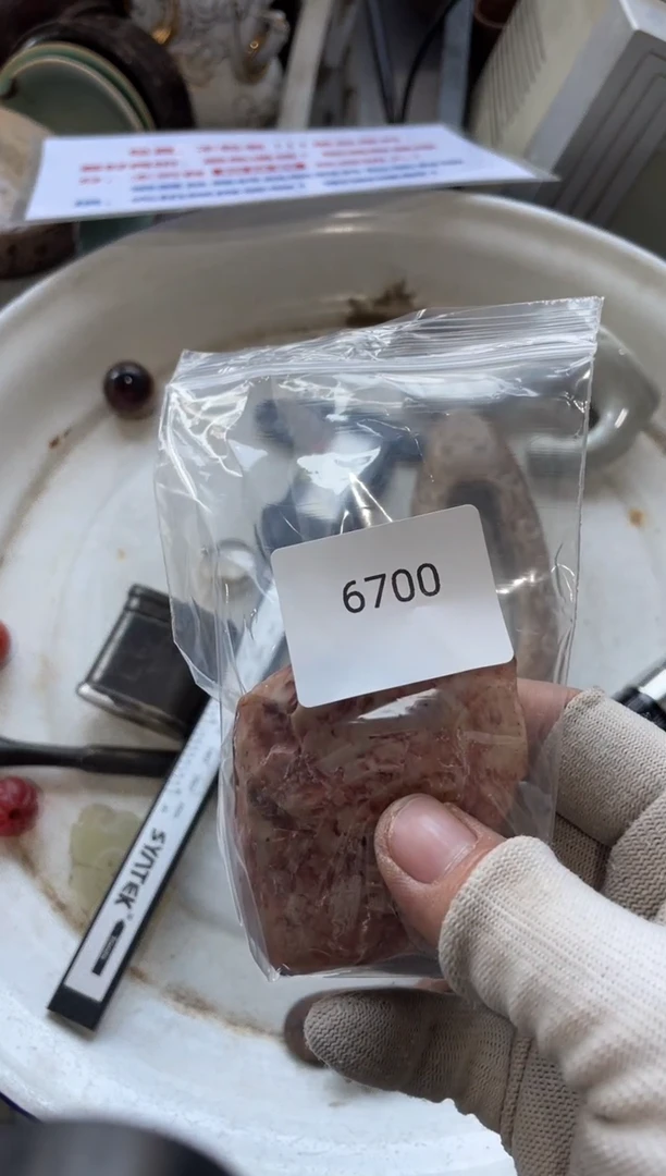 器556677882505246700