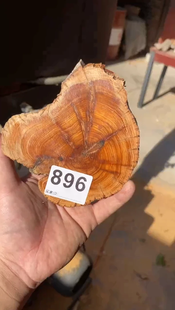 柏木（崖柏）太行陈化崖柏随机一片896