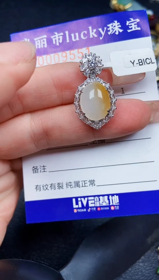 翡翠银S925镶嵌颈饰9551