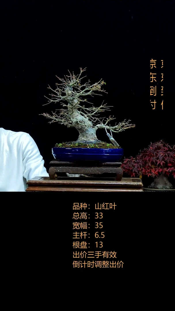 无花朵亮0000000000