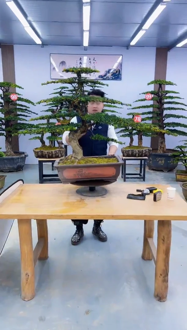 以实际为准默****祥000000000