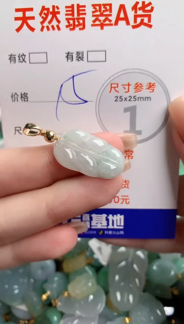 翡翠未镶嵌颈饰24000049