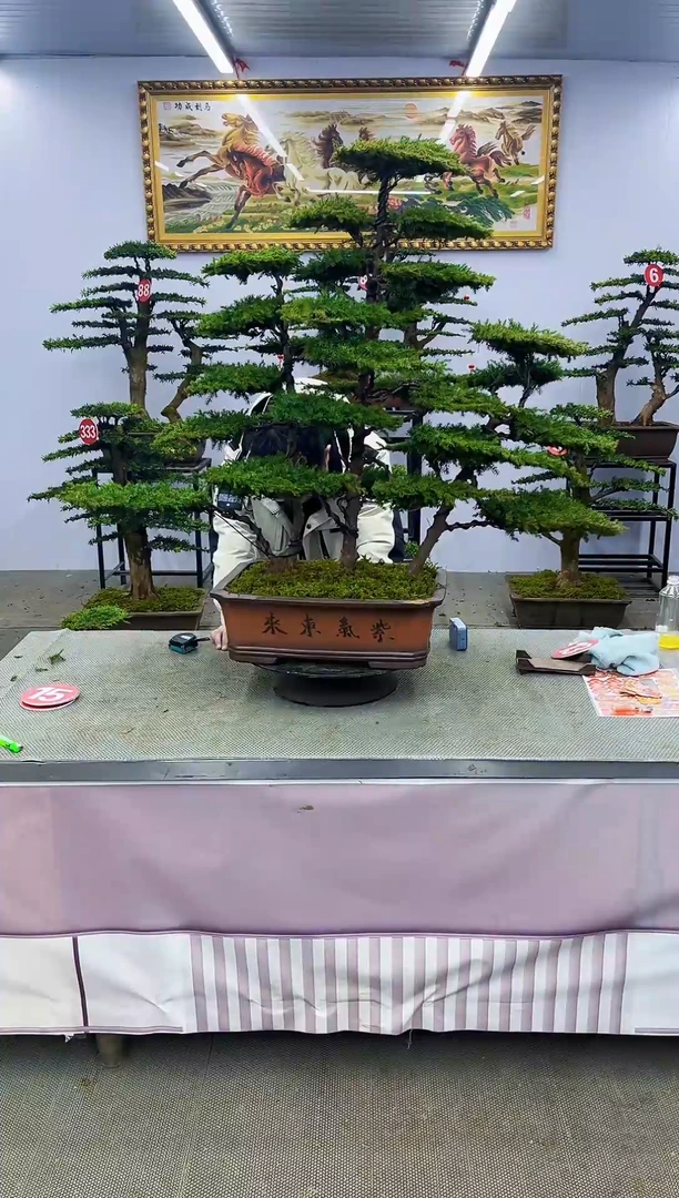 【闪购商品】啊一物一拍，所见即所得