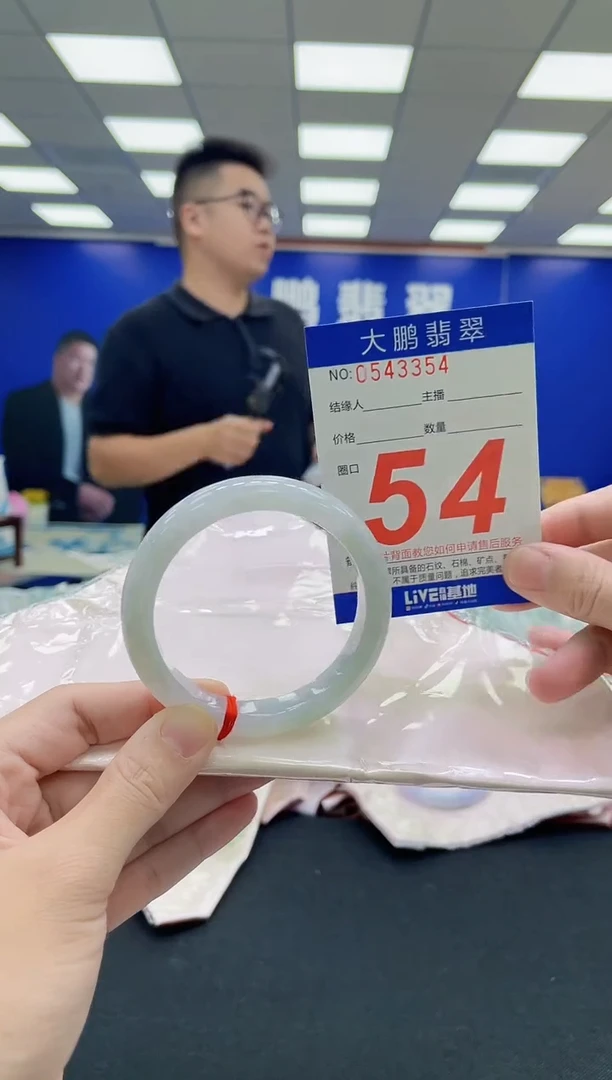 未镶嵌手镯翡翠AAAAAAAAA