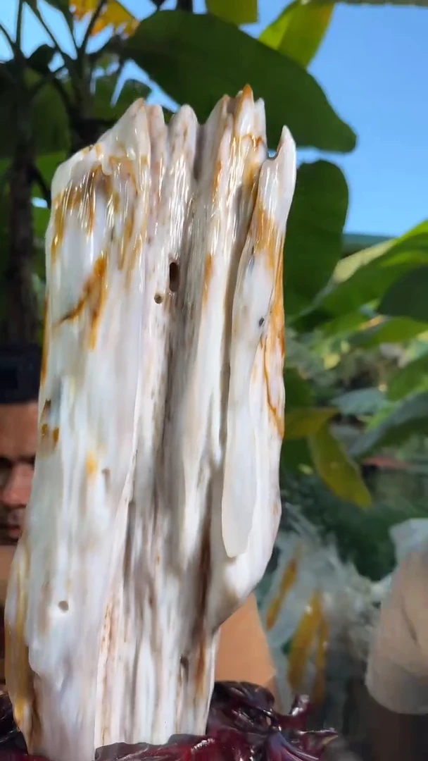 【闪购商品】硅化玉珠宝奇石未镶嵌拍一发一