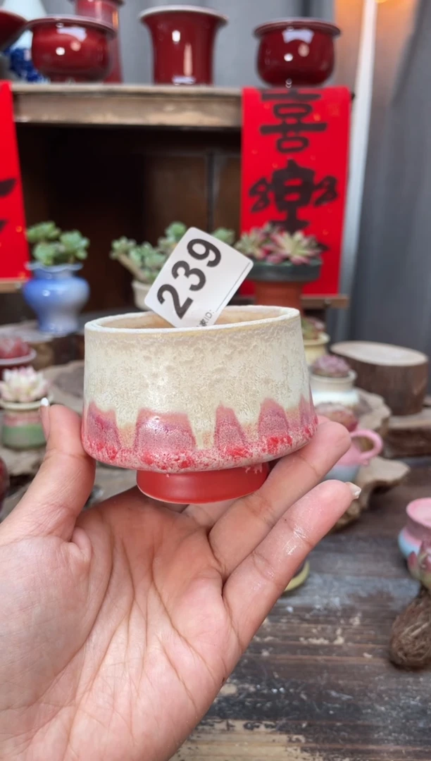 【闪购商品】摆件239知木小芳花盆编号