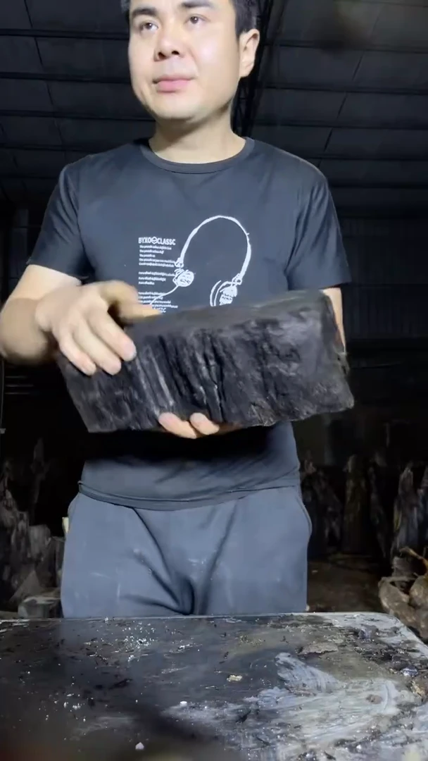 金丝楠15金丝楠小叶桢楠