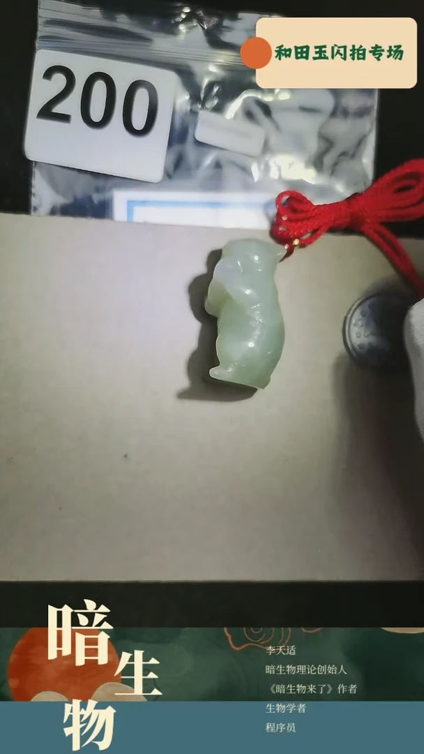 【闪购商品】和田玉吊坠(赠链)未镶嵌200