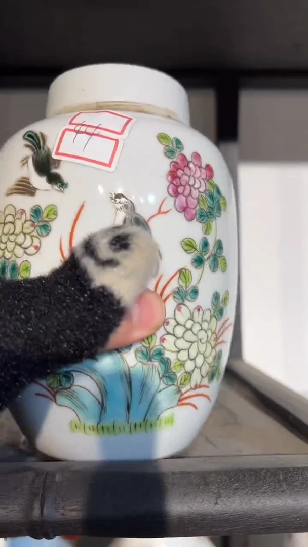 【闪购商品】摆件瓷摆件瓷摆件瓷摆件