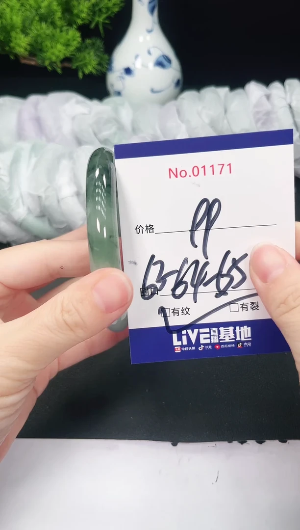 未镶嵌手镯翡翠1171