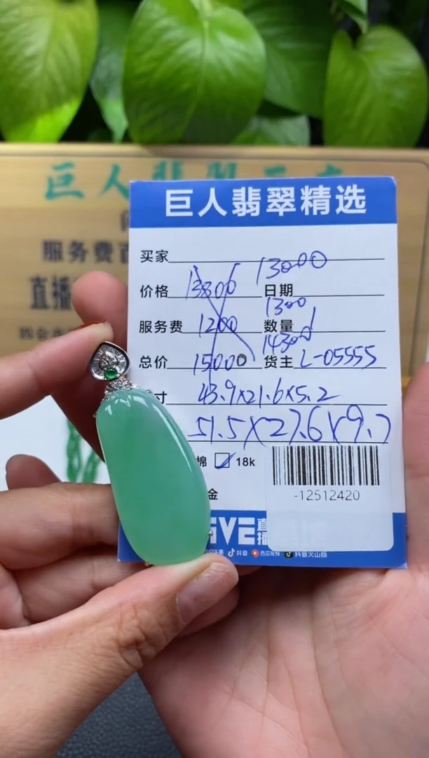 颈饰18K金镶嵌翡翠多人-12512420