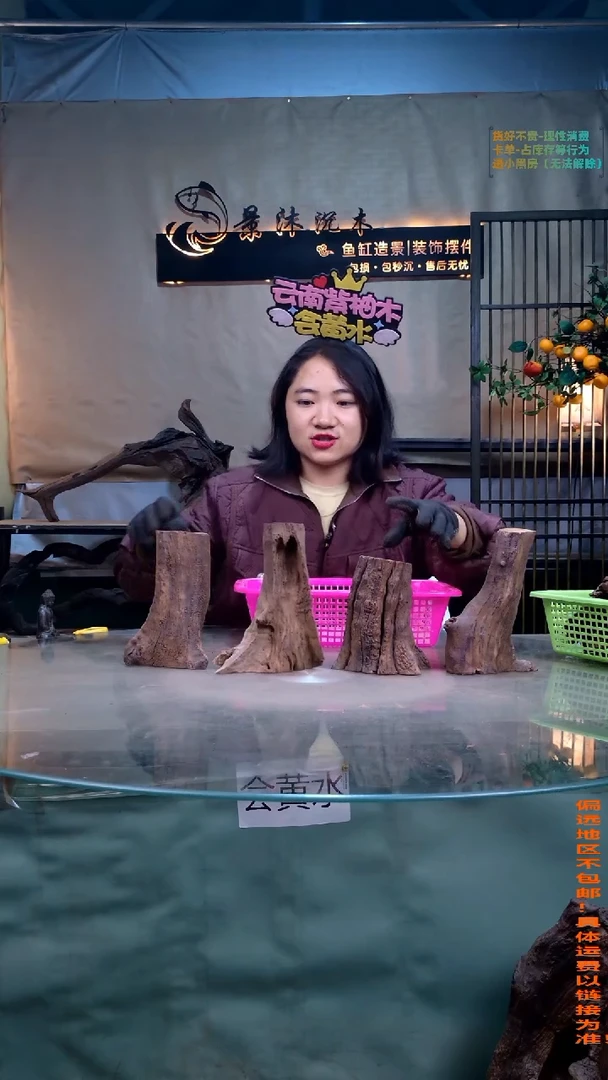 摆件景沐沉木J144景沐沉木J144