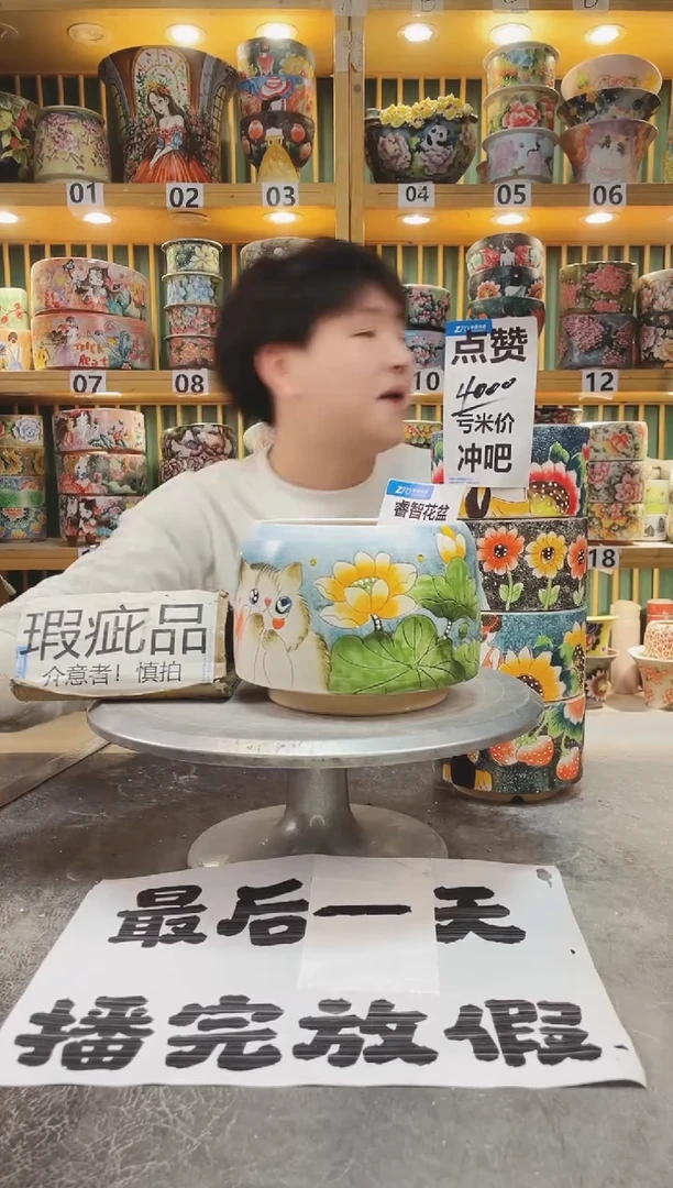 【闪购商品】瓷片默认微瑕一物一拍0120-258