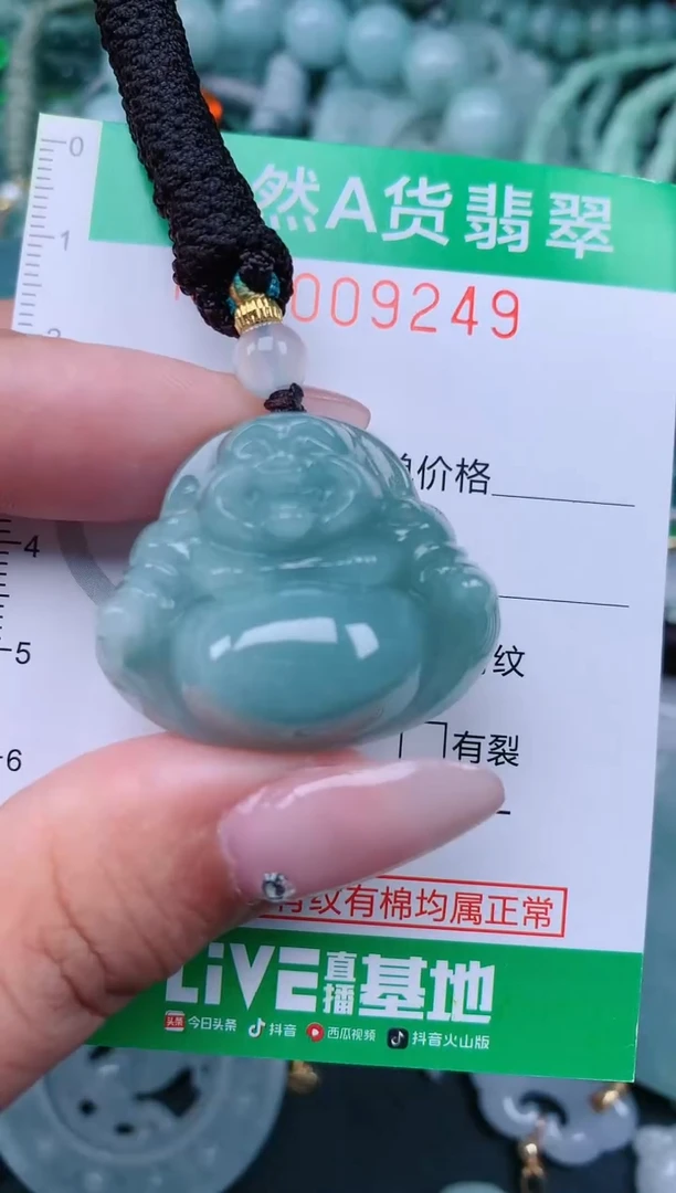 翡翠未镶嵌颈饰.0009249