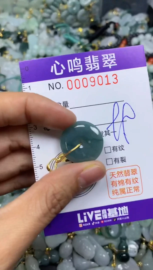 【闪购商品】翡翠颈饰未镶嵌闪购009013