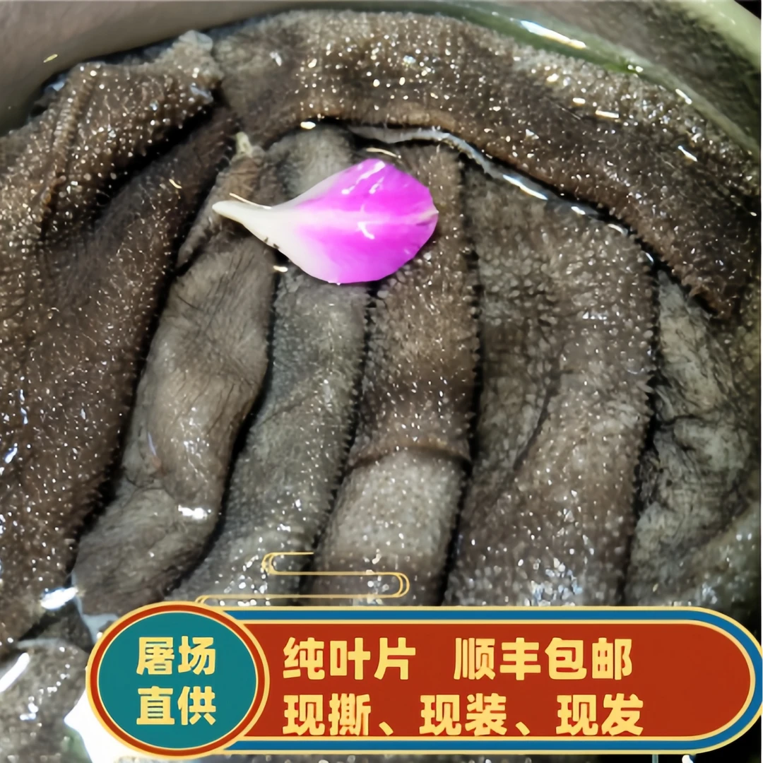 屠场鲜固形物含量95%牛杂牛肚牛副毛肚生鲜