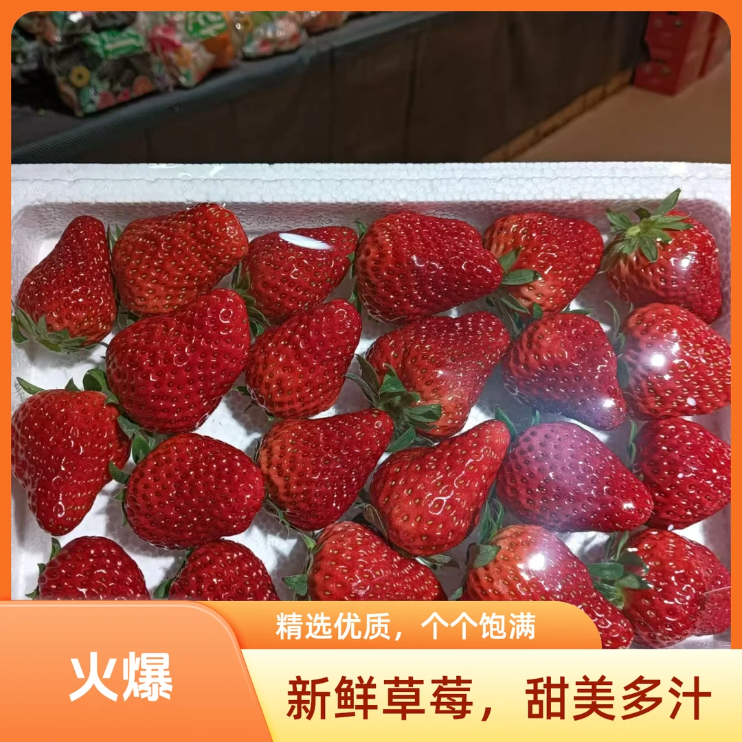 河北顺平现摘久久草莓2箱2.6斤左右