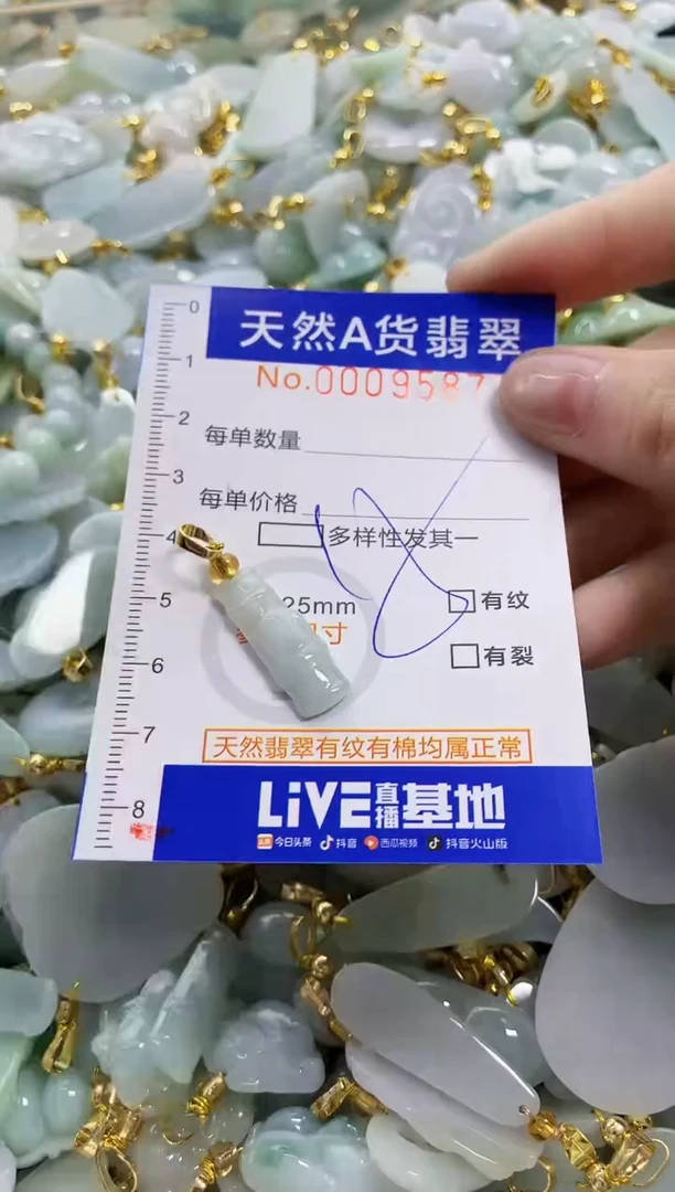 颈饰未镶嵌翡翠天然A货翡翠