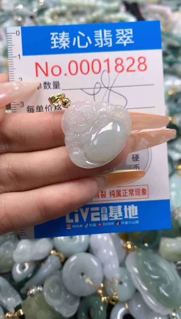 翡翠未镶嵌颈饰含绳0001828