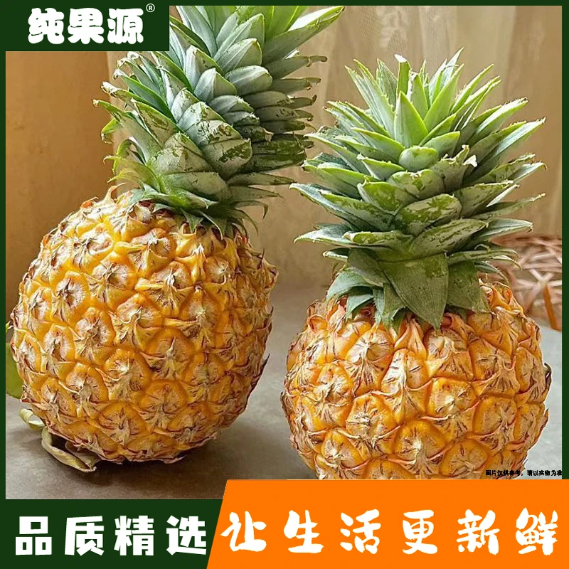 【纯果源小时达】（芒果）凤梨【一颗装/约1.5-2斤】