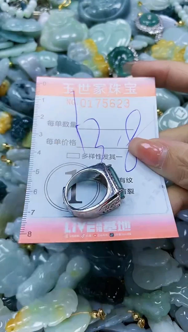 【闪购商品】翡翠颈饰未镶嵌闪购商品00175623