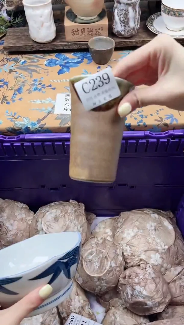 瓷片楠*                C239
