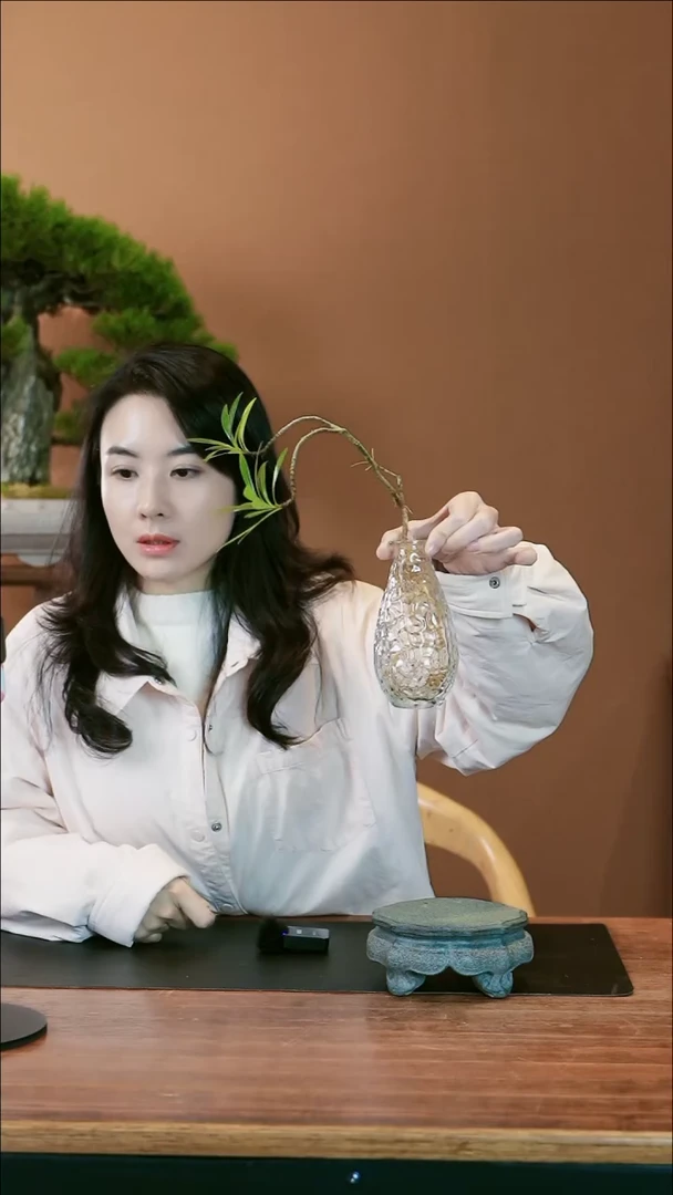 【闪购商品】盆景栀子花