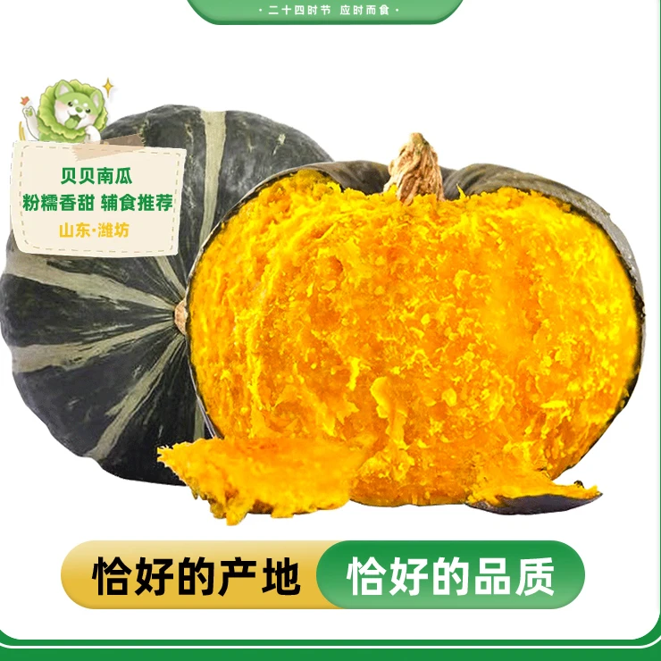 【坏果包赔】大果粗粮婴儿辅食粉面香甜板栗味小南瓜厂地直供