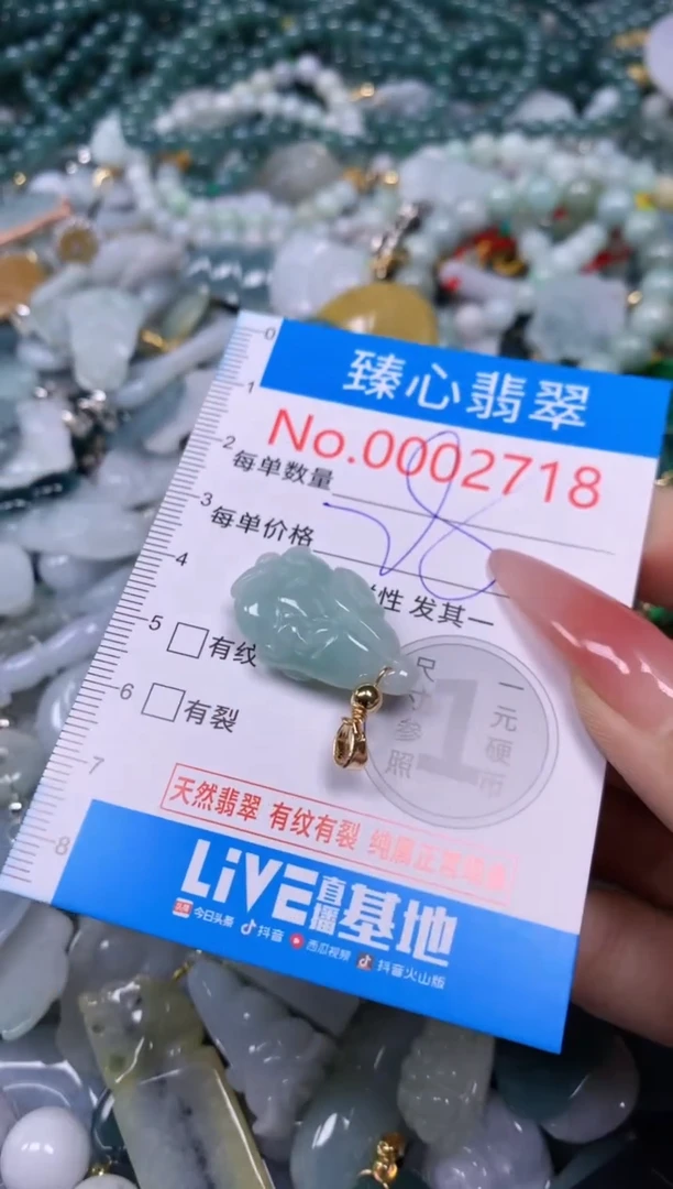 【闪购商品】翡翠颈饰未镶嵌含绳0002718