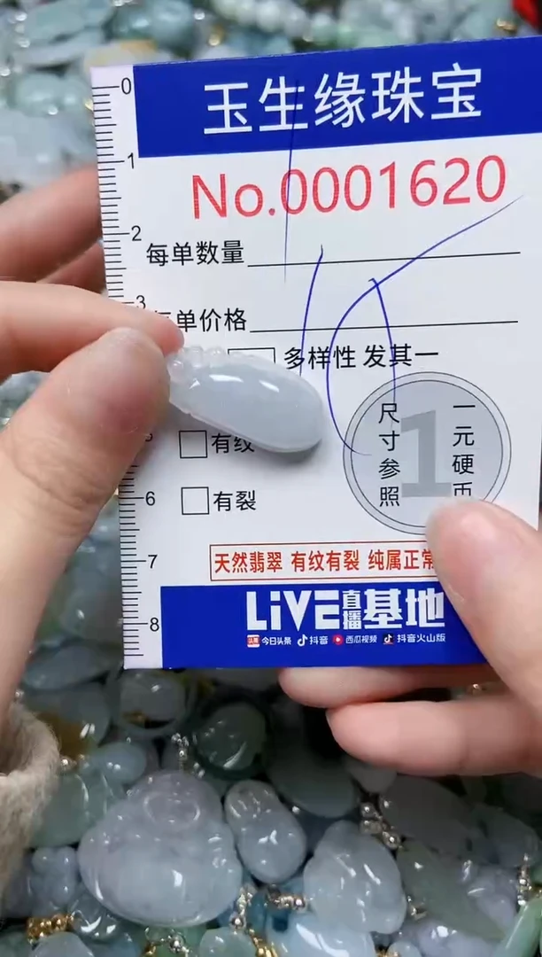 【闪购商品】翡翠颈饰未镶嵌闪购00001620