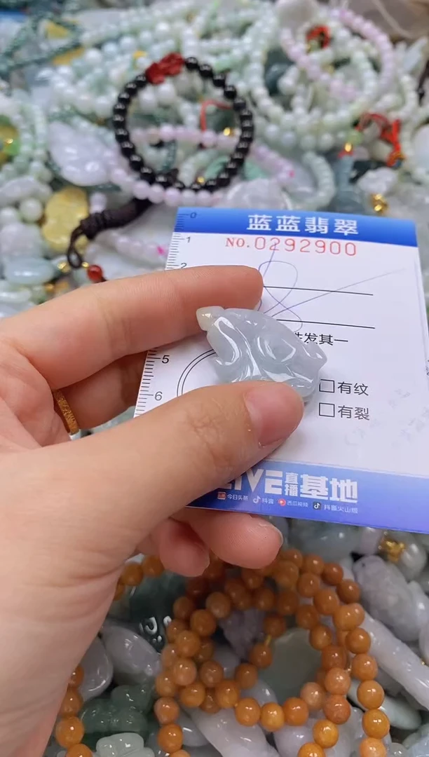 翡翠未镶嵌颈饰闪购0292900