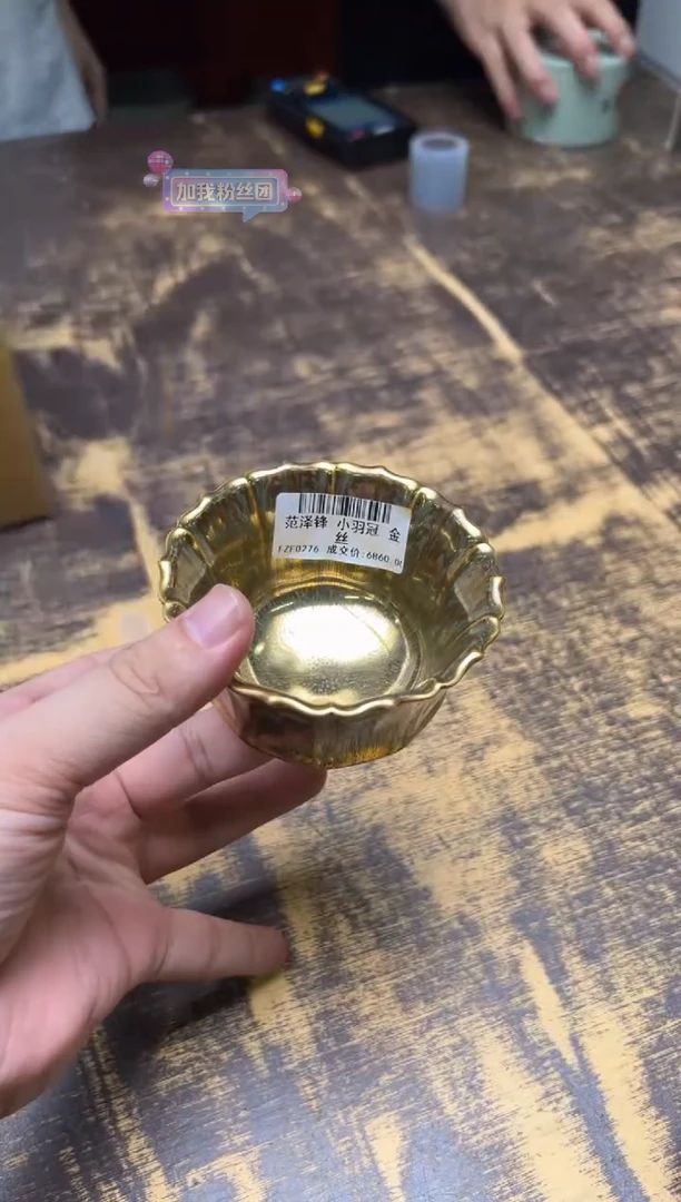 杨*范泽锋小羽冠金丝