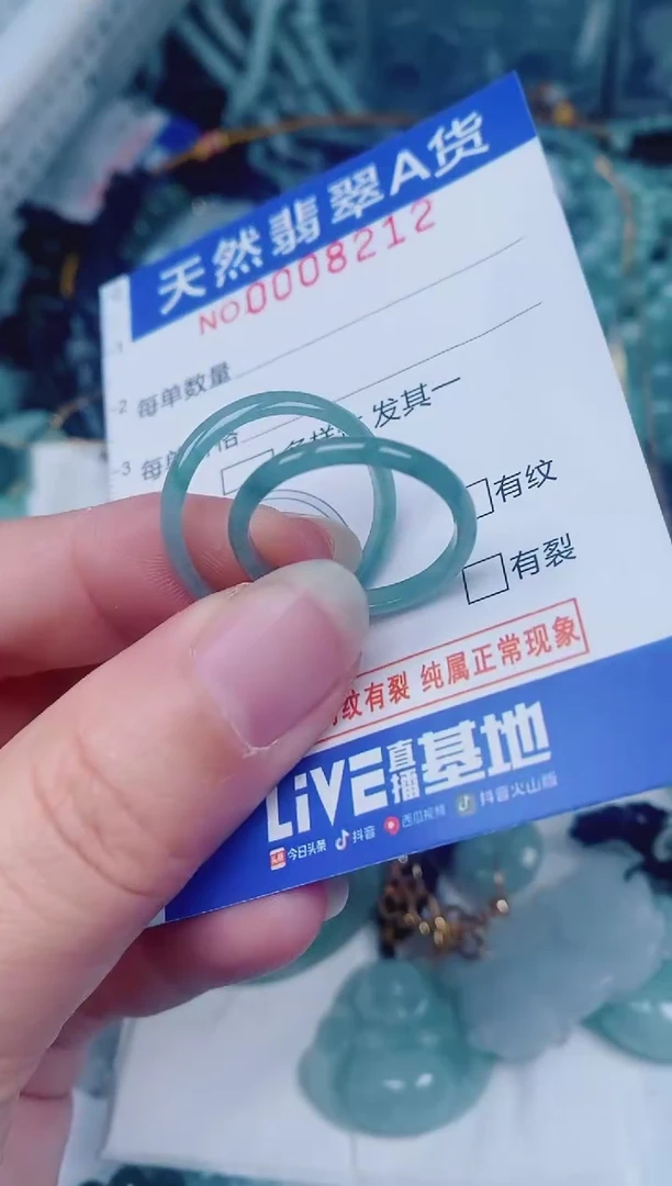 颈饰未镶嵌翡翠00008212