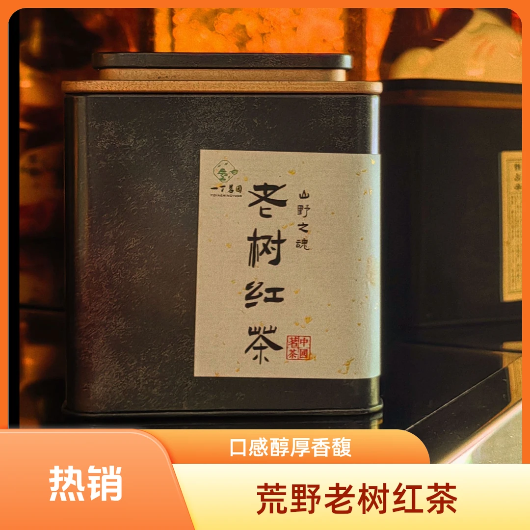 荒野老树红茶汤色金黄透亮蜜香馥郁口感醇厚100g
