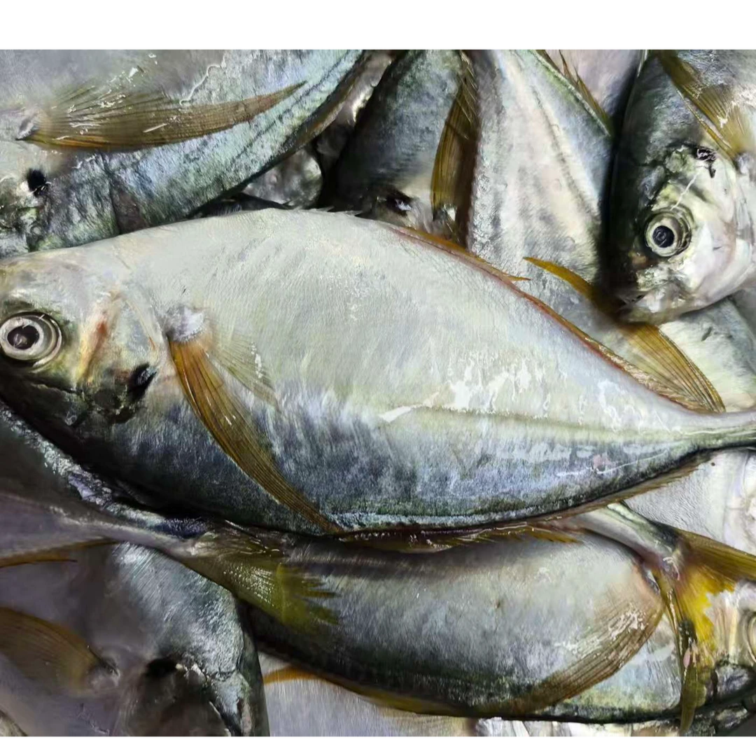 [树叶鱼]上街弟海鲜 树叶鱼 肉质鲜嫩 清蒸 福州发货