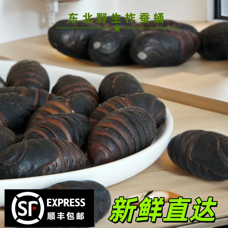 【产地直发】东北特产柞蚕蛹，高营养、高蛋白，保鲜保活，损坏包赔！