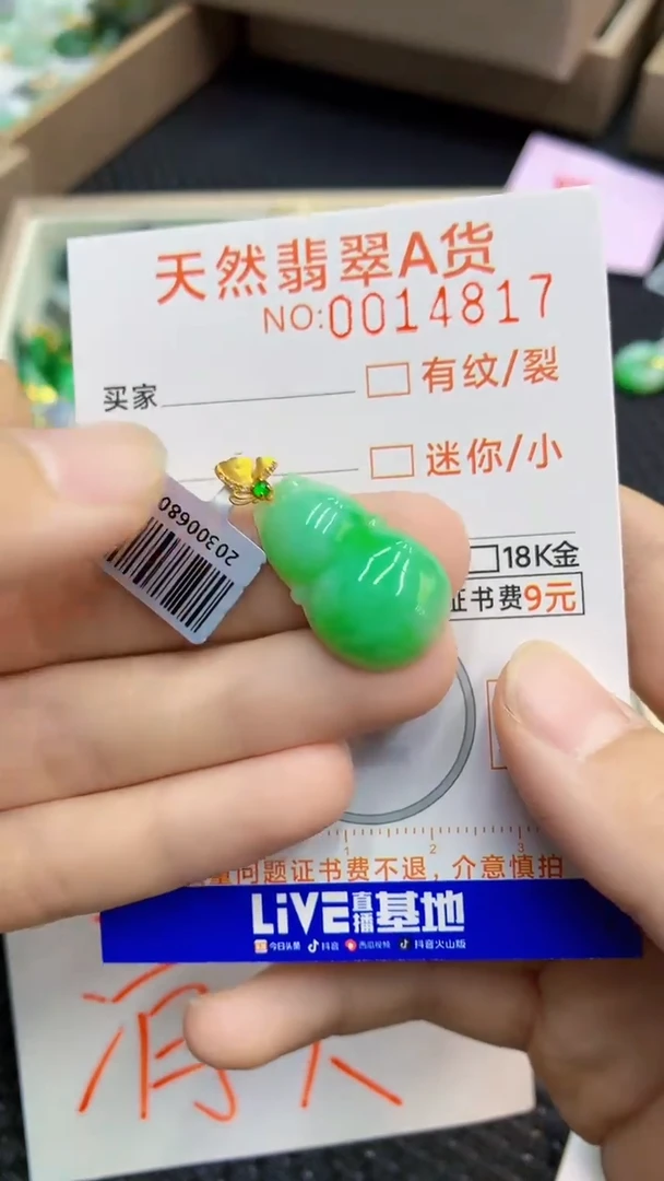 翡翠18K金镶嵌颈饰             1