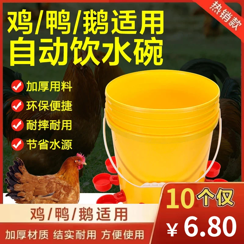 养鸡用自动饮水器鸡鸭鹅饮水碗喝水碗鹌鹑家禽鸟小鸡喂食神器养殖