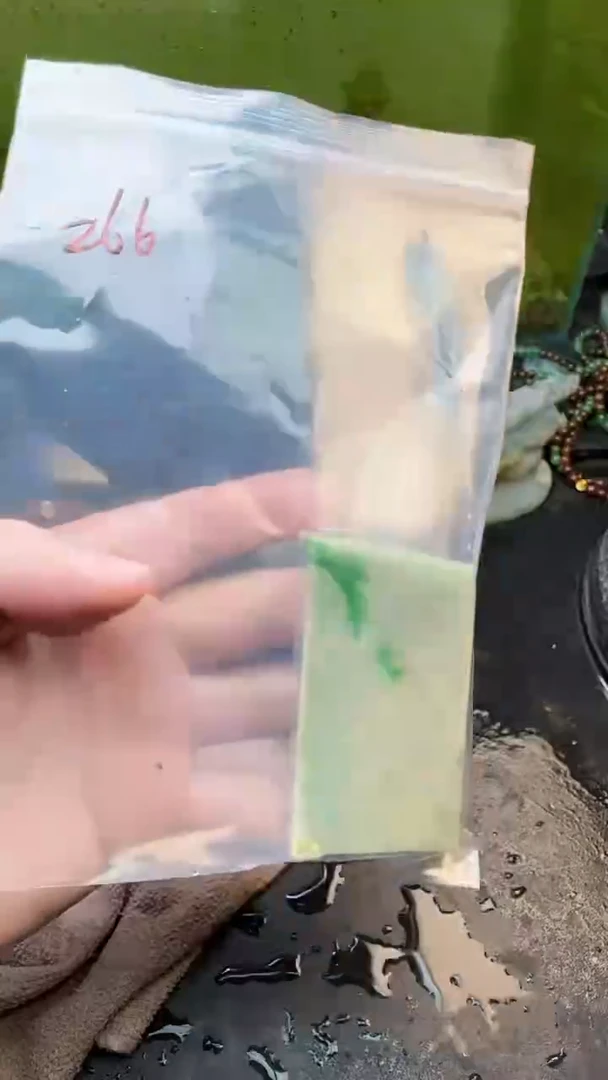 【闪购商品】翡翠颈饰未镶嵌266天然翡翠